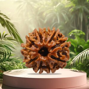 10 Mukhi Rudraksha
