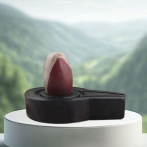 Narmadeshwar Shivling