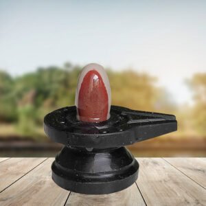 Narmadeshwar Shivling