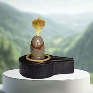 Narmadeshwar Shivling