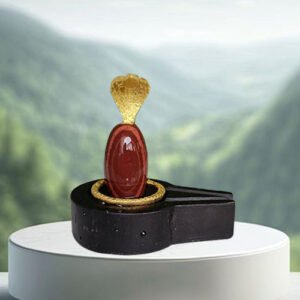 Narmadeshwar Shivling