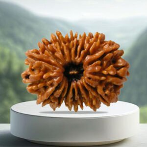 17 Mukhi Rudraksha