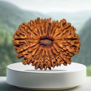 18 Mukhi Rudraksha
