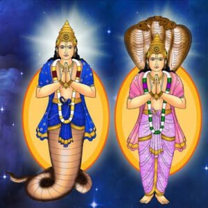 Rahu and Ketu Pooja