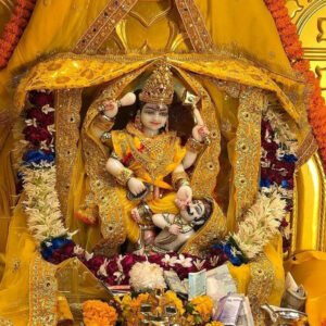 Maa Baglamukhi