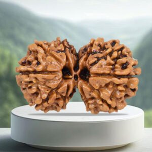 Gauri Shankar Rudraksha
